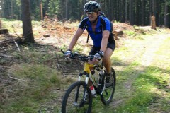 birkenheiner_2005_27