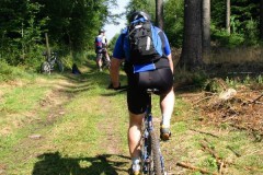 birkenheiner_2005_32