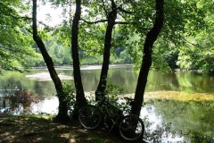 birkenheiner_2005_53