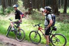 birkenheiner_2005_55