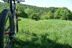 Burgenweg2008_019
