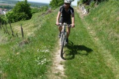 Burgenweg2008_034