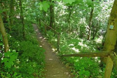 Burgenweg2008_037