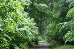 Eselsweg_2006_46