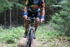 Limes_08072007_30