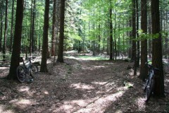 Limes_08072007_41
