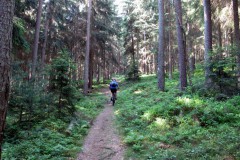 RWEG_04