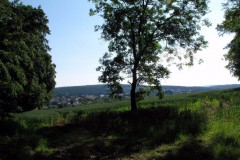 RWEG_05