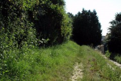 RWEG_13