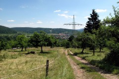 RWEG_30