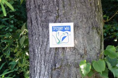 spessartweg1_02