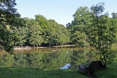 spessartweg1_03