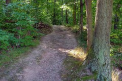 spessartweg1_05