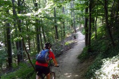 spessartweg1_08