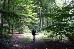 spessartweg1_21