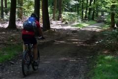 spessartweg1_25