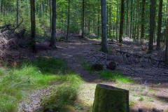 spessartweg1_27