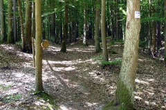spessartweg1_28