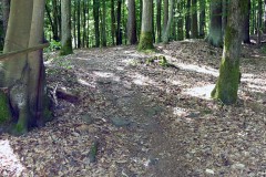 spessartweg1_30