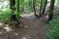 spessartweg1_34