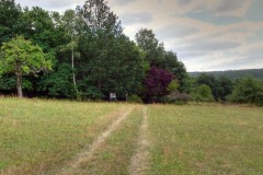 spessartweg1_39