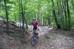 spessartweg1_51