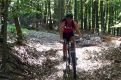 spessartweg1_52