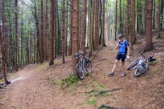 spessartweg2_04