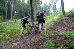 spessartweg2_05