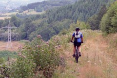 spessartweg2_06