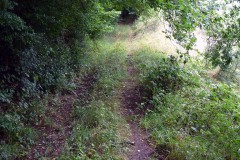 spessartweg2_07