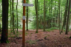 spessartweg2_08