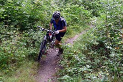 spessartweg2_11