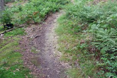 spessartweg2_12