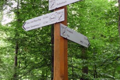 spessartweg2_15