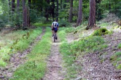 spessartweg2_21