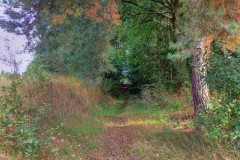 spessartweg2_23