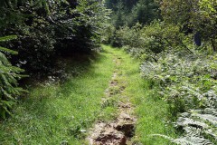 spessartweg2_24