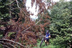 spessartweg2_28