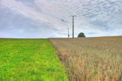 spessartweg2_30