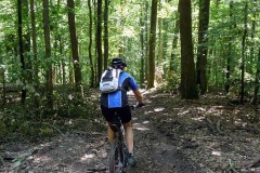 spessartweg2_41