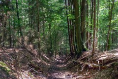 spessartweg2_53