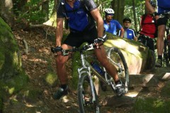 Vogesenweg_2007_IMG_9563