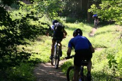 Vogesenweg_2007_IMG_9577