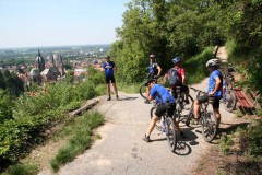 Vogesenweg_2007_IMG_9601